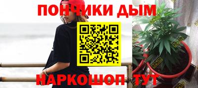 индика Бийск