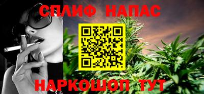 индика Бийск