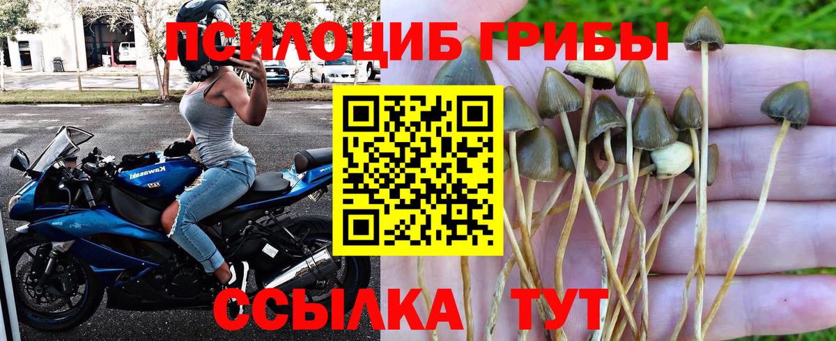 Галлюциногенные грибы MAGIC MUSHROOMS Бугуруслан